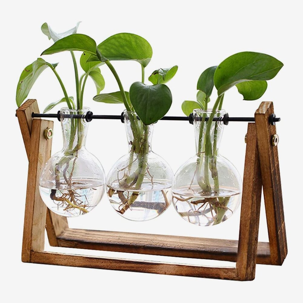 Plant Terrarium with Wooden Stand | $16