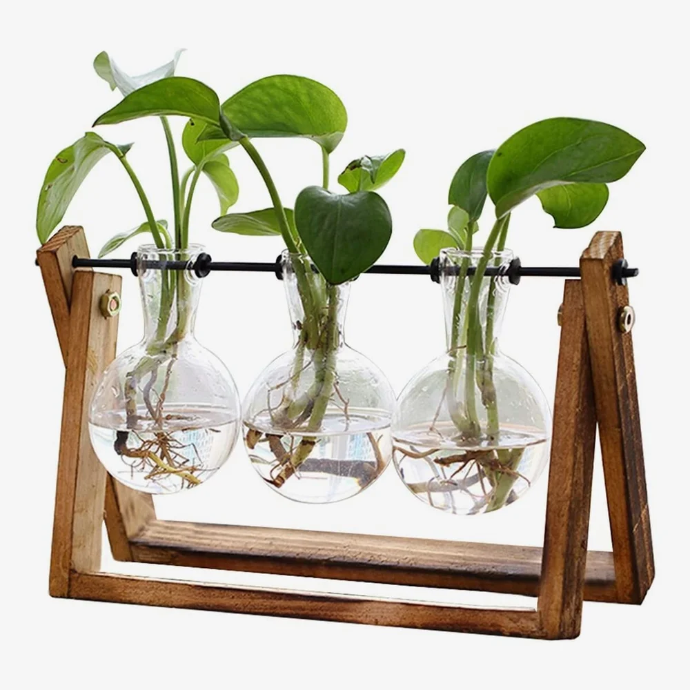 Plant Terrarium with Wooden Stand | $16