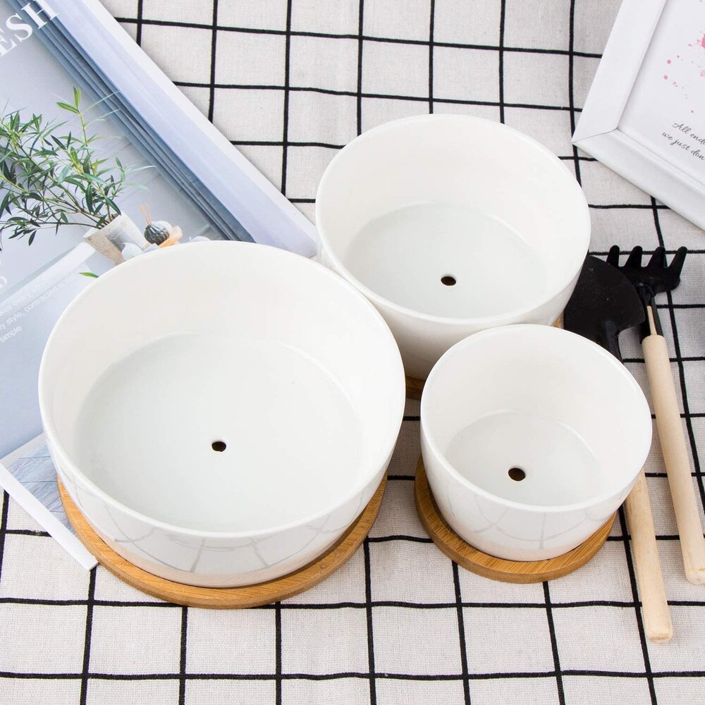 Set of Ceramic Planters with Bamboo Trays | $16