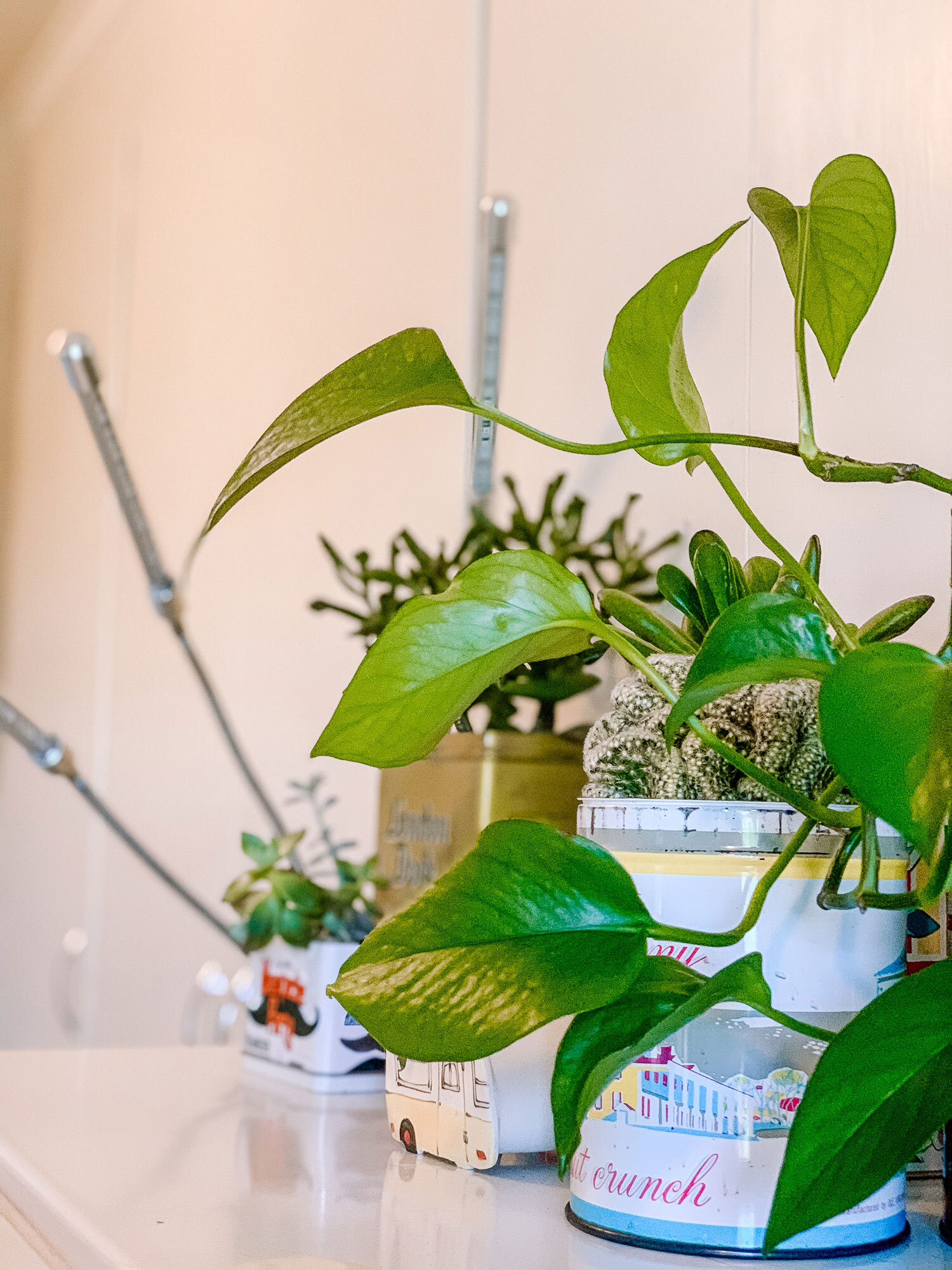 Beginner's Guide to Choosing and Using Grow Lights