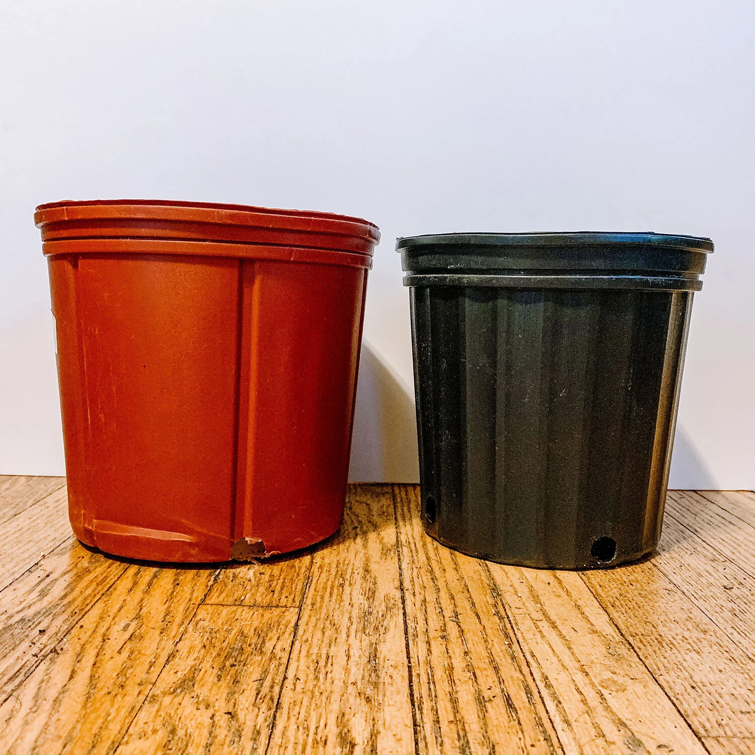The Guide to Repotting Your Plants — The Green Mad House