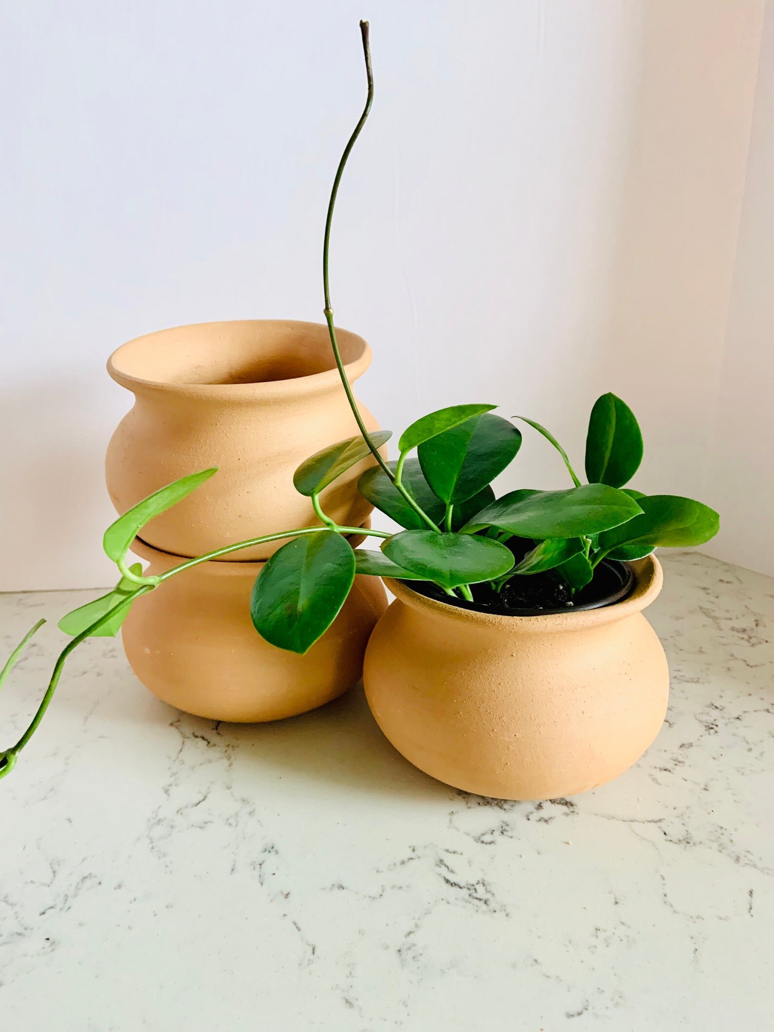 Terracotta Pot | $23.40+