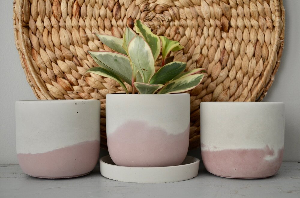 Concrete Planter | $15.99+