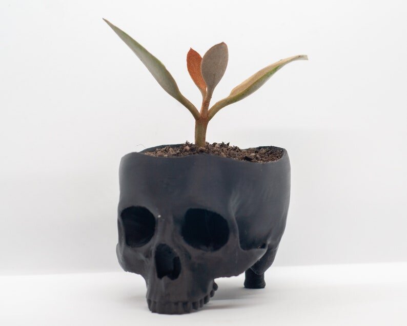 Skull Planter | $15