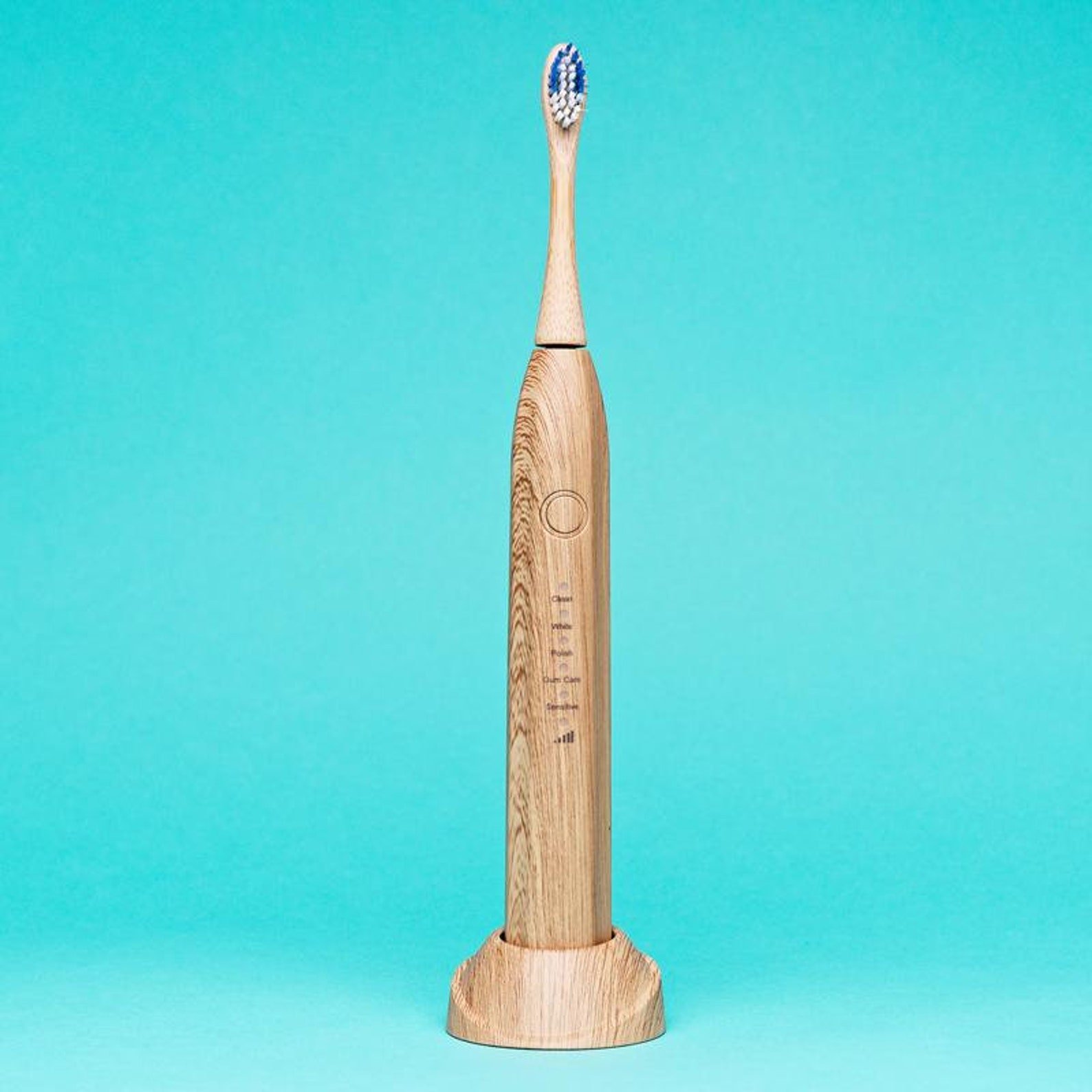 Electric Bamboo Toothbrush | $98