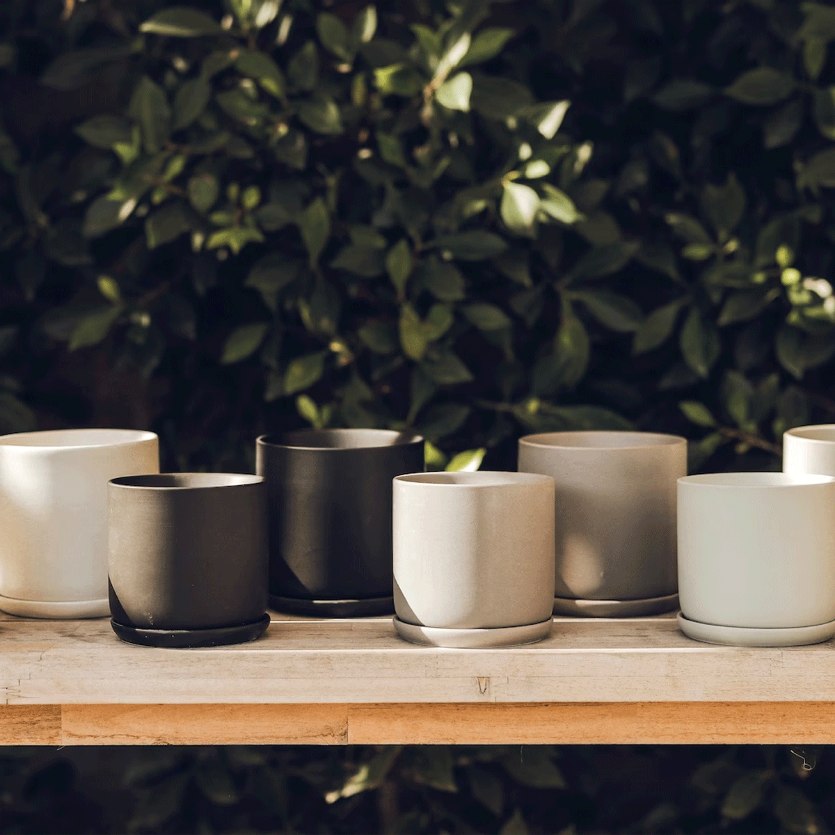 Ceramic Planters | $34