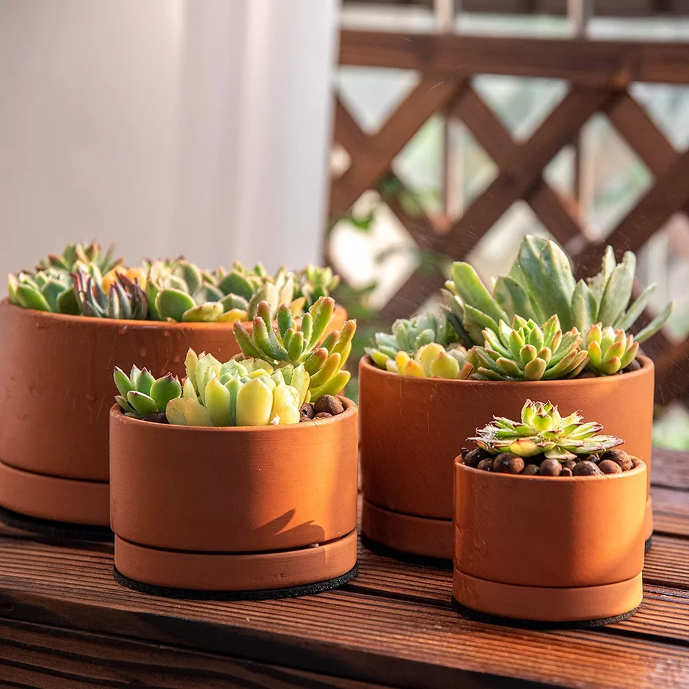 Terracotta Planter Set | $32