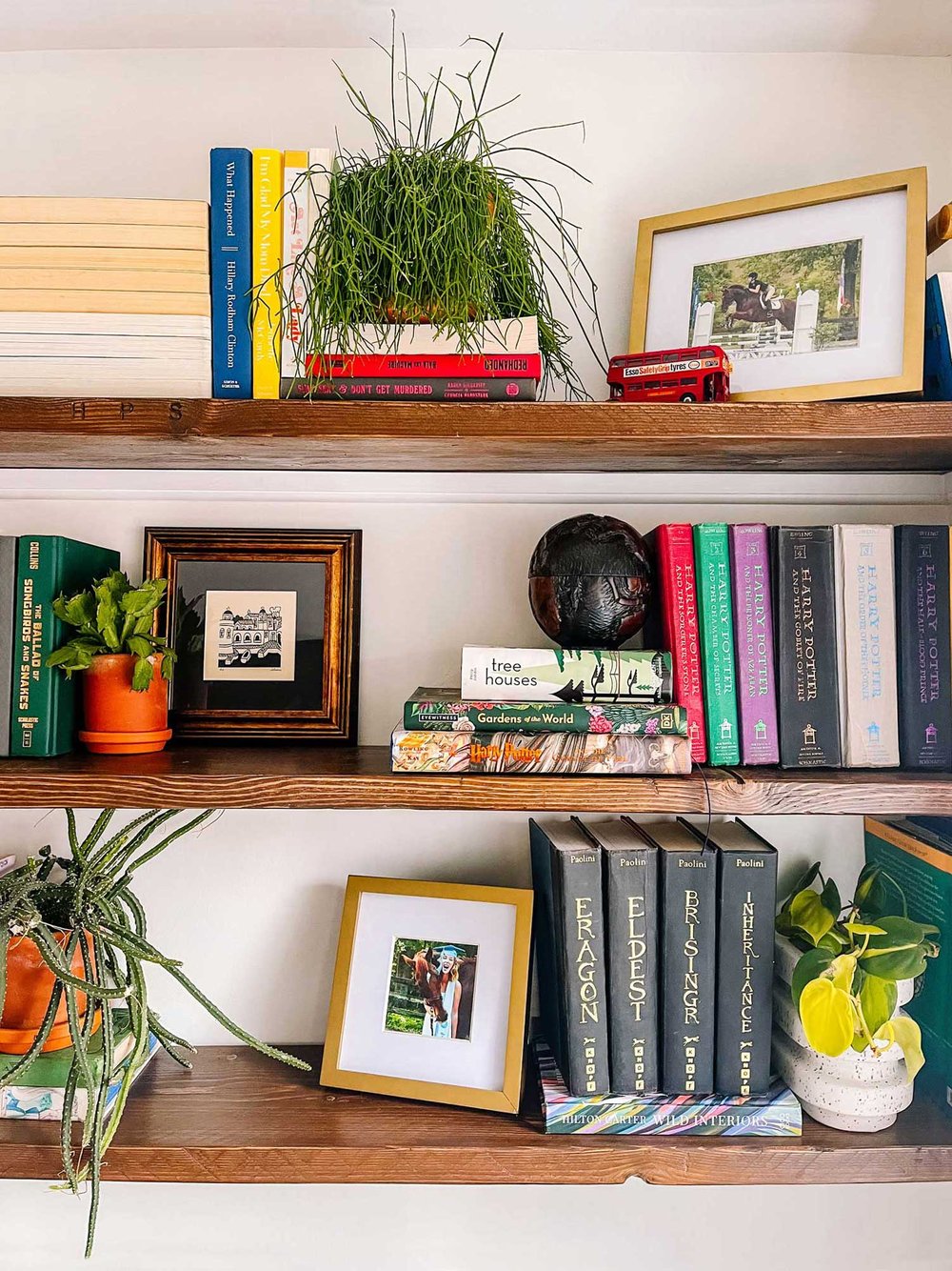 Built in shelves styled with books and plants