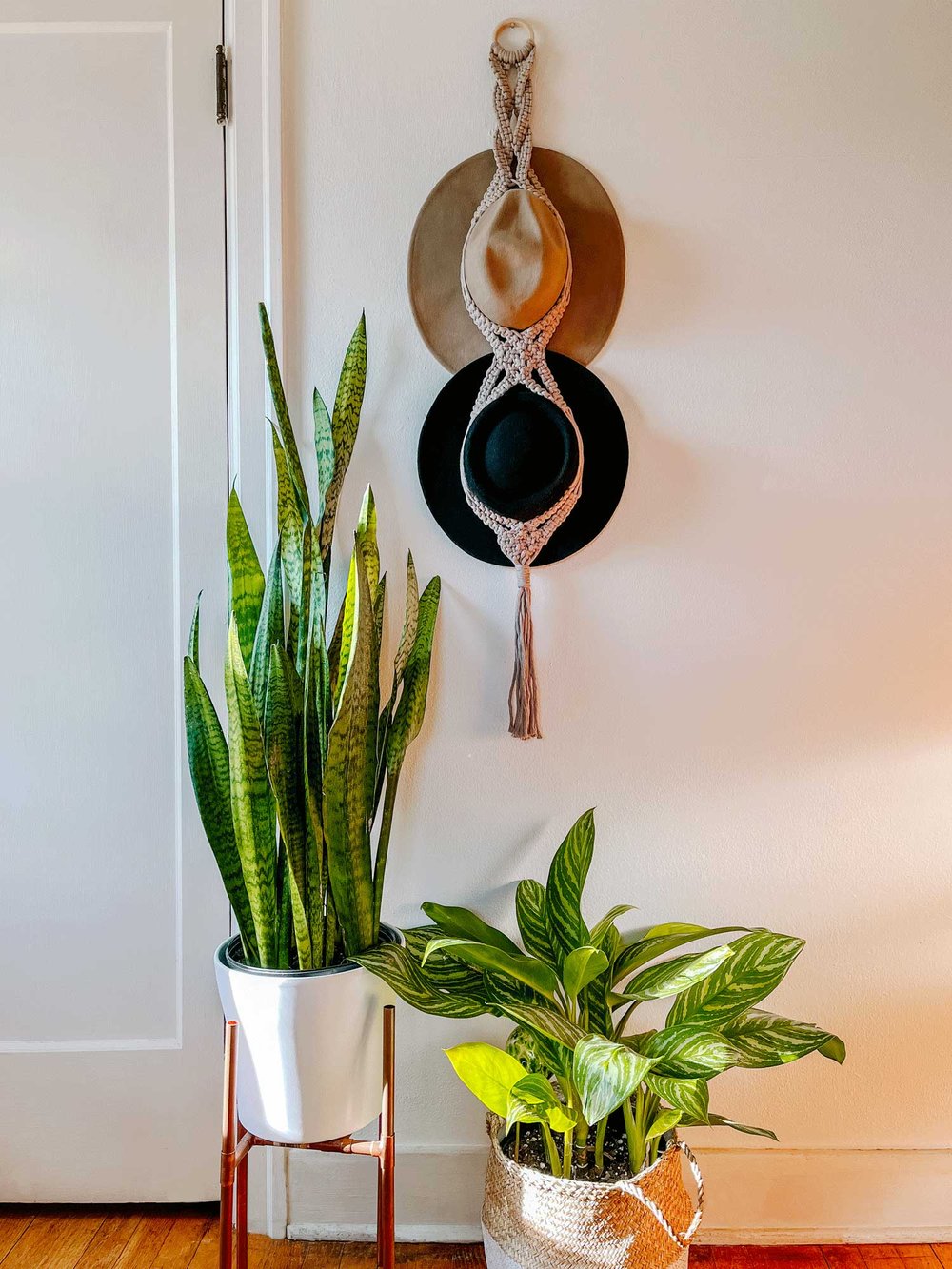 How to Make a Macrame Hanger for 2 Hats