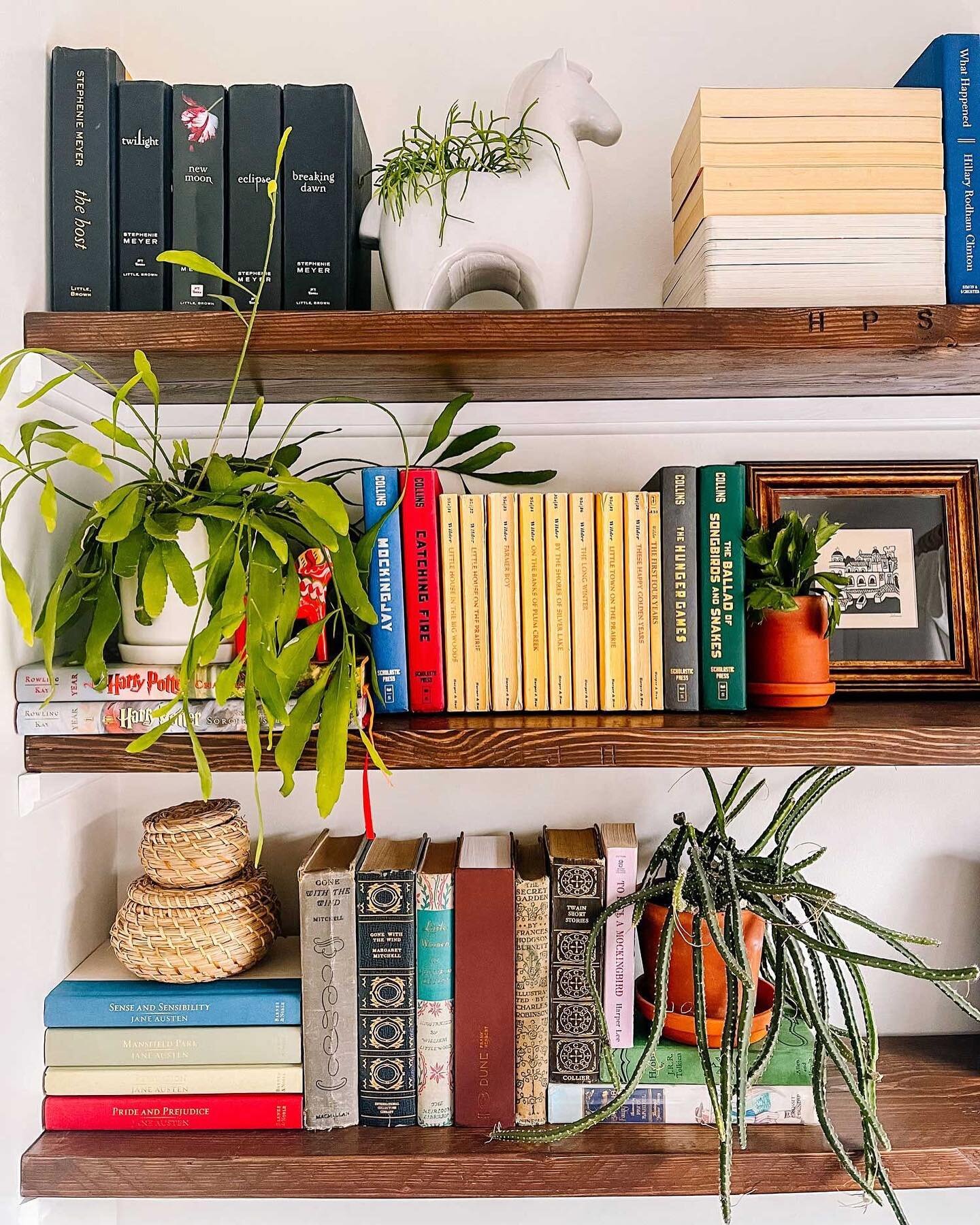 Built some shelves using reclaimed scaffolding and sprinkled all my favorite books and, of course, plants throughout. Link in bio for products and styling guide for my shelves and home office nook.