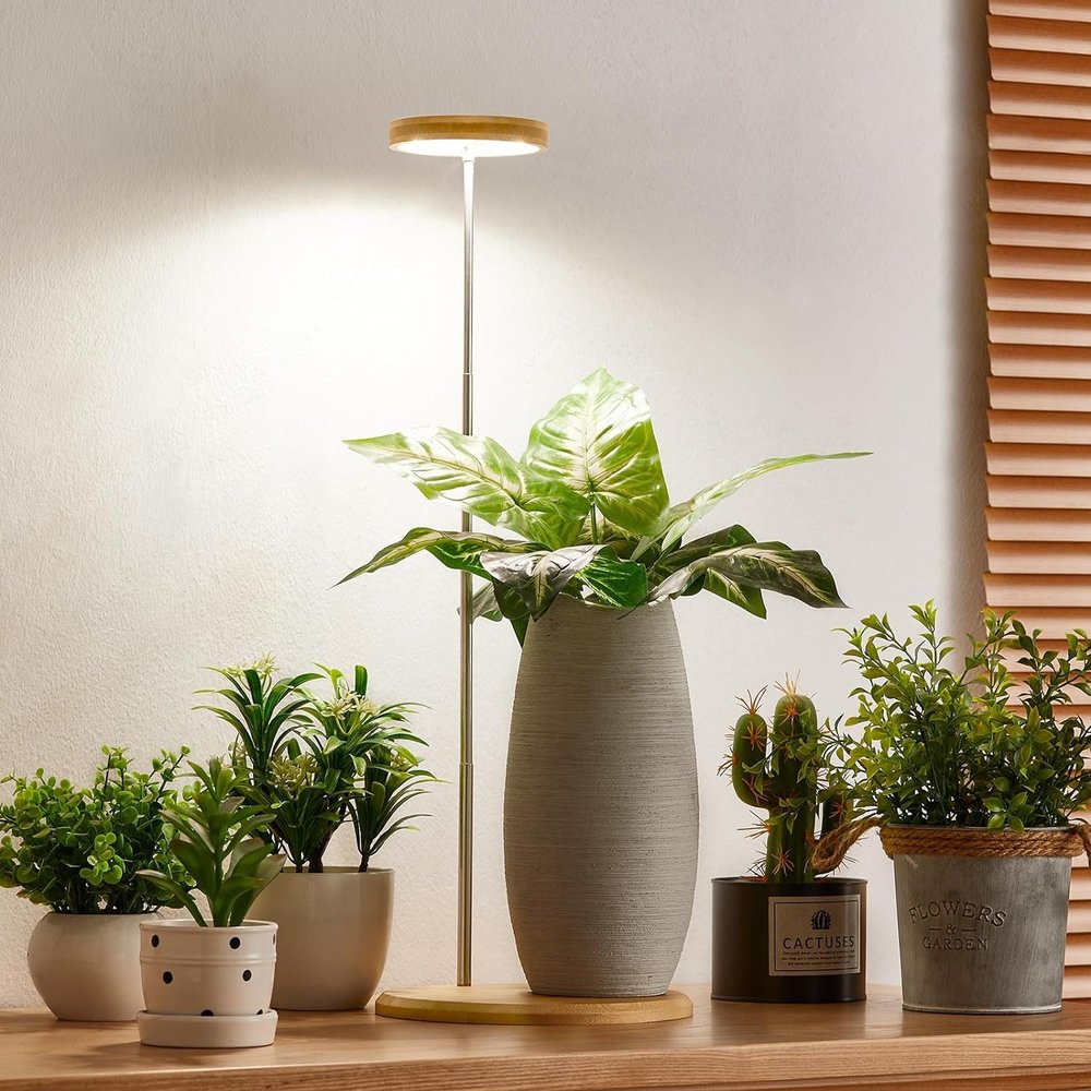 Grow Light Desk Lamp | $27