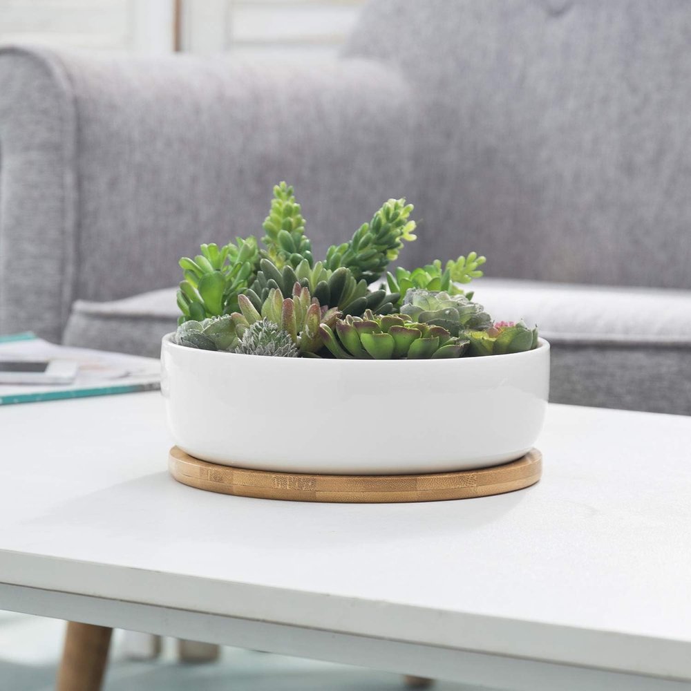 Planter with Bamboo Saucer | $28