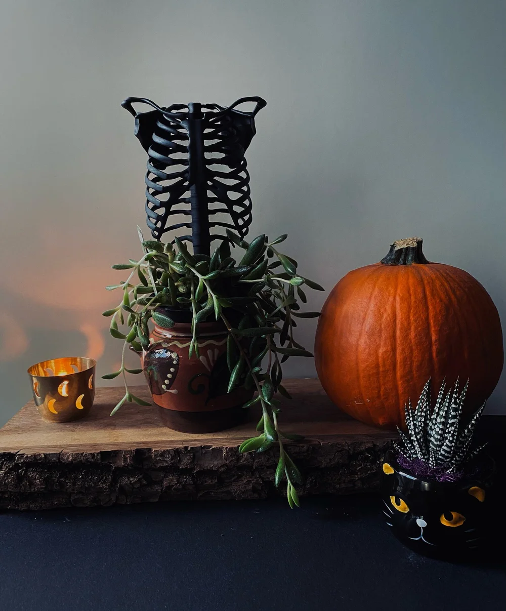 Ribcage Trellis | $46