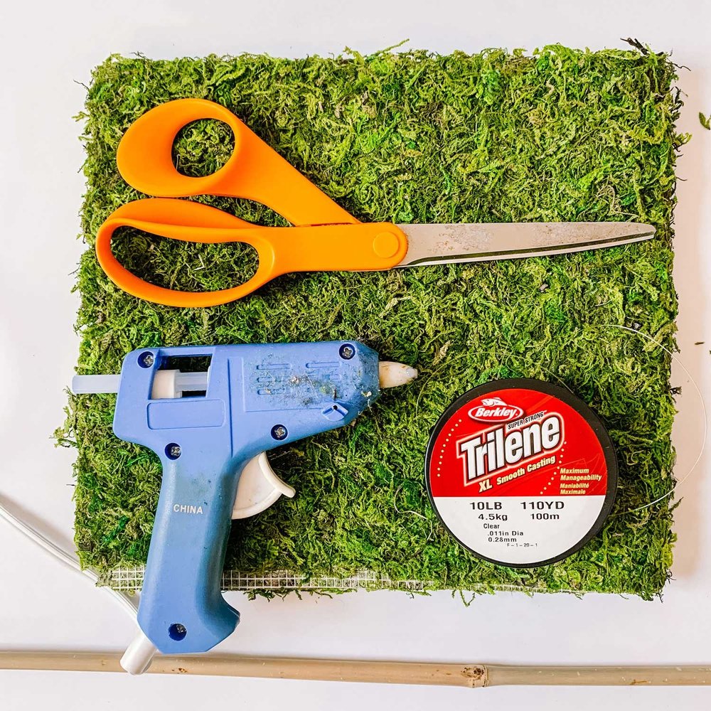 How to Make a Moss Pole Support — The Green Mad House