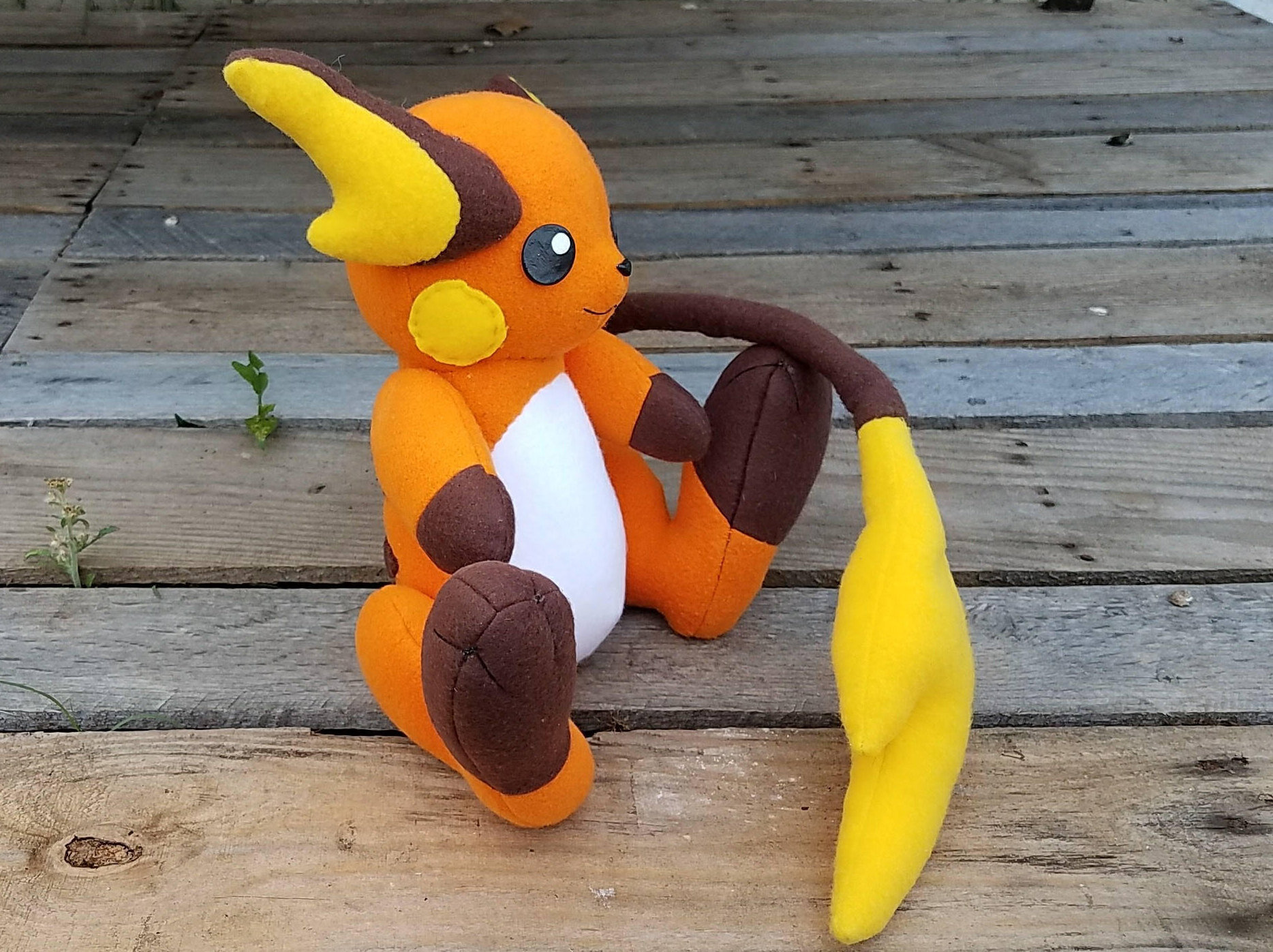 raichu.jpg