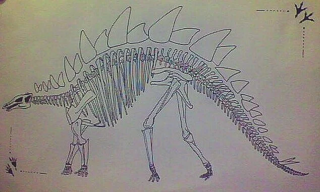 Stegosaurus