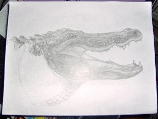 Gator Head