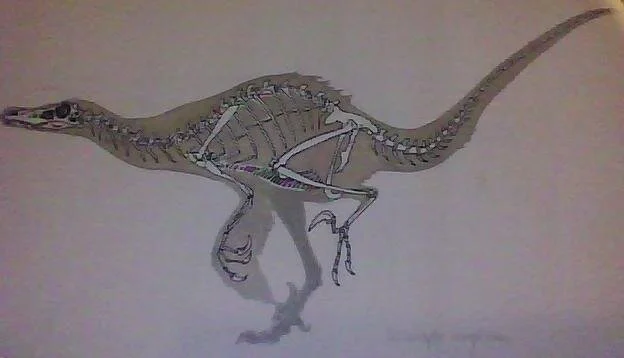 Utah Raptor Study
