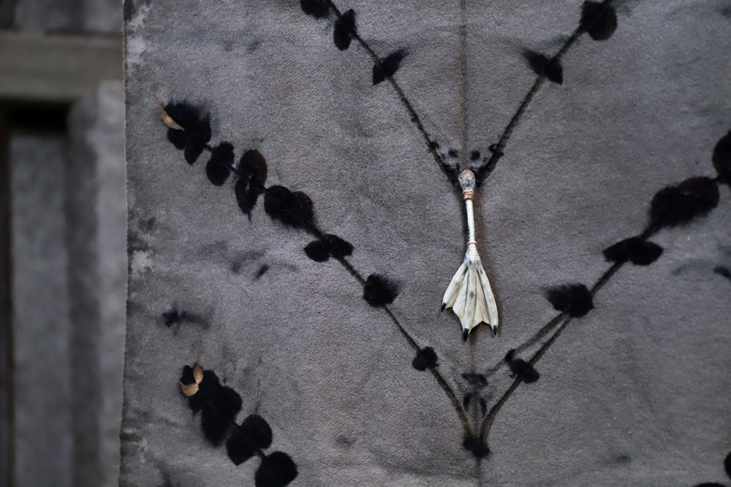 Kezia Whakamoe [Tūhoe, Ngāti Ruapani]