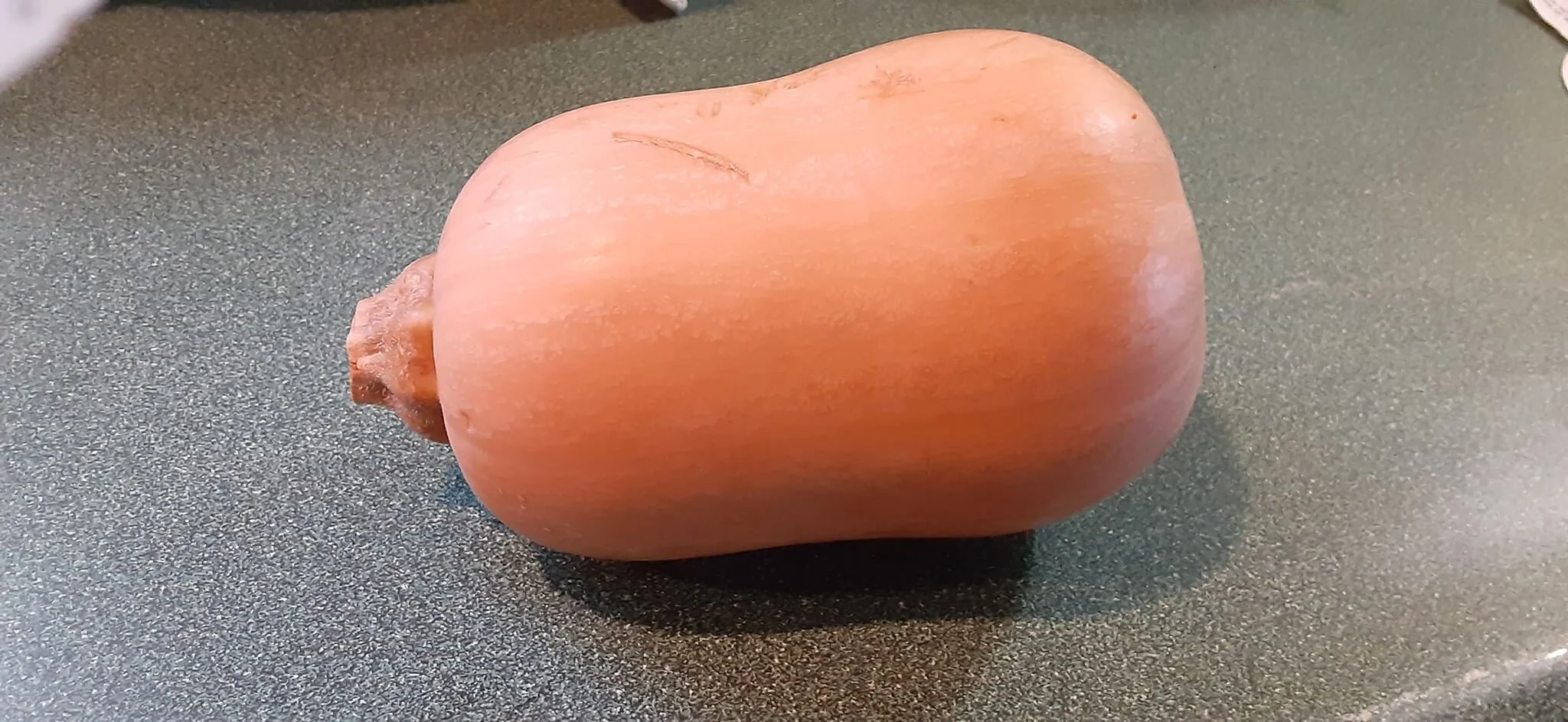 squash.jpg