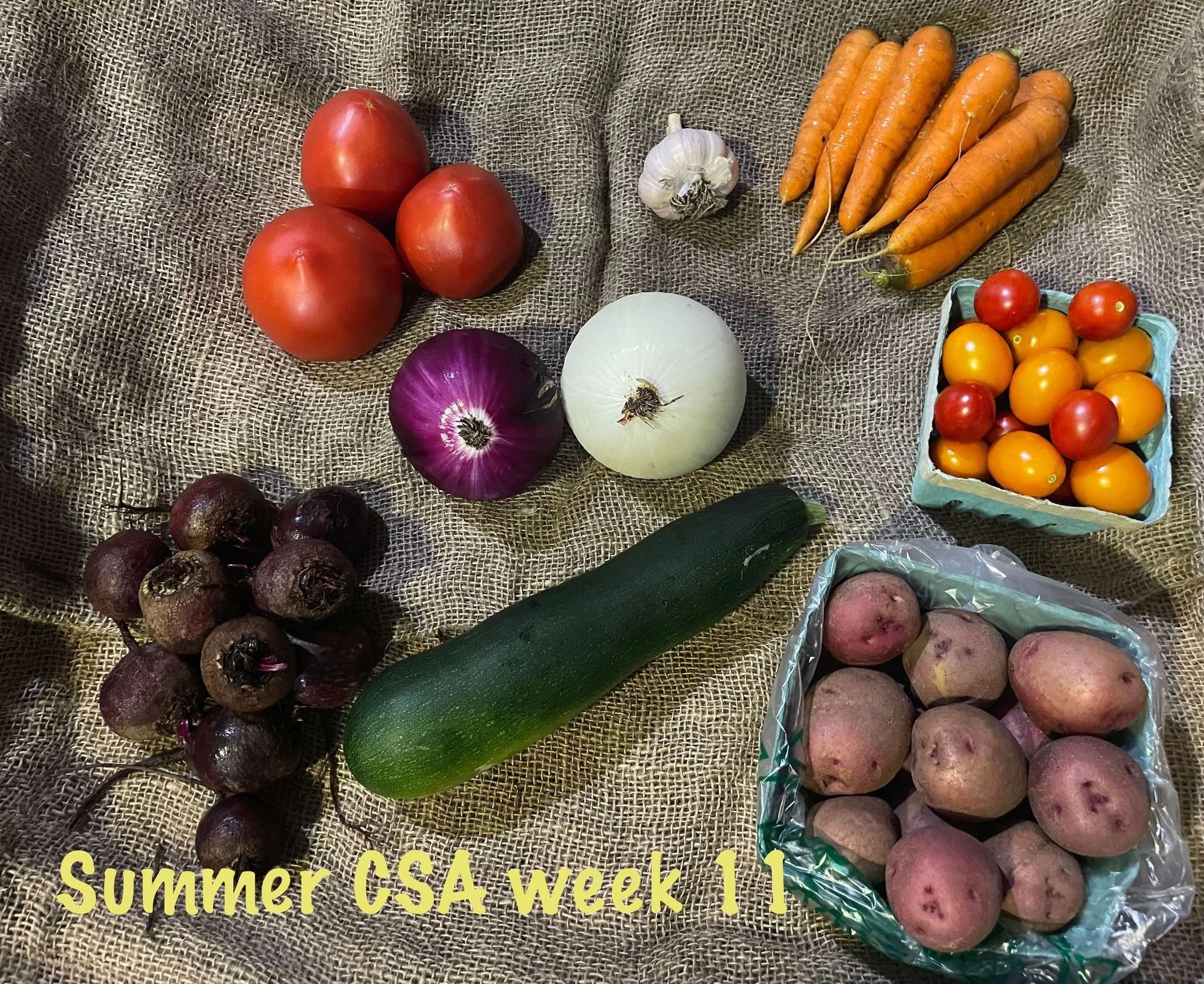 summer csa week 11.jpg