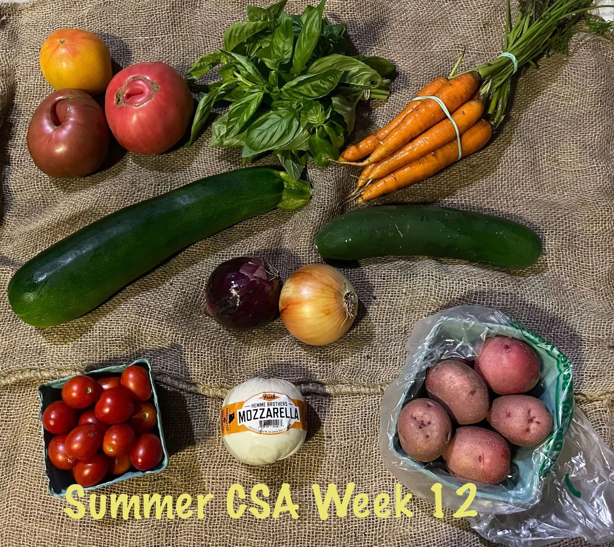 csa week 12.jpg
