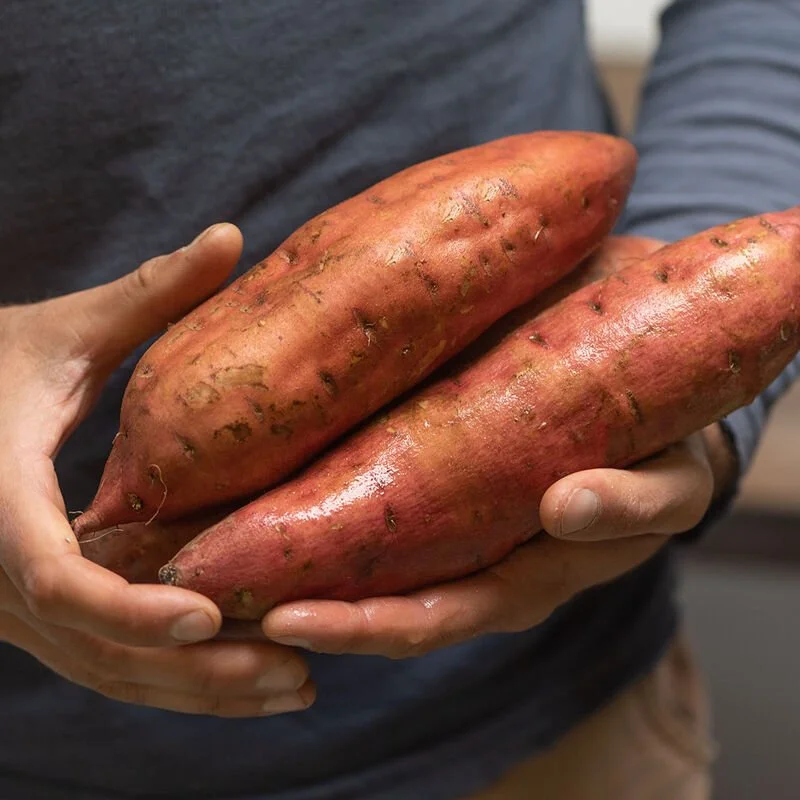 sweet potato.jpg