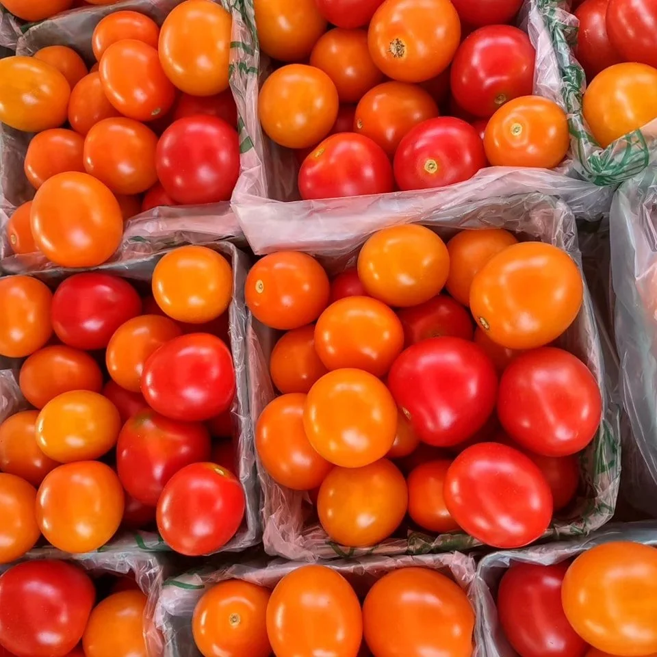 cherrytomatoes1.jpg
