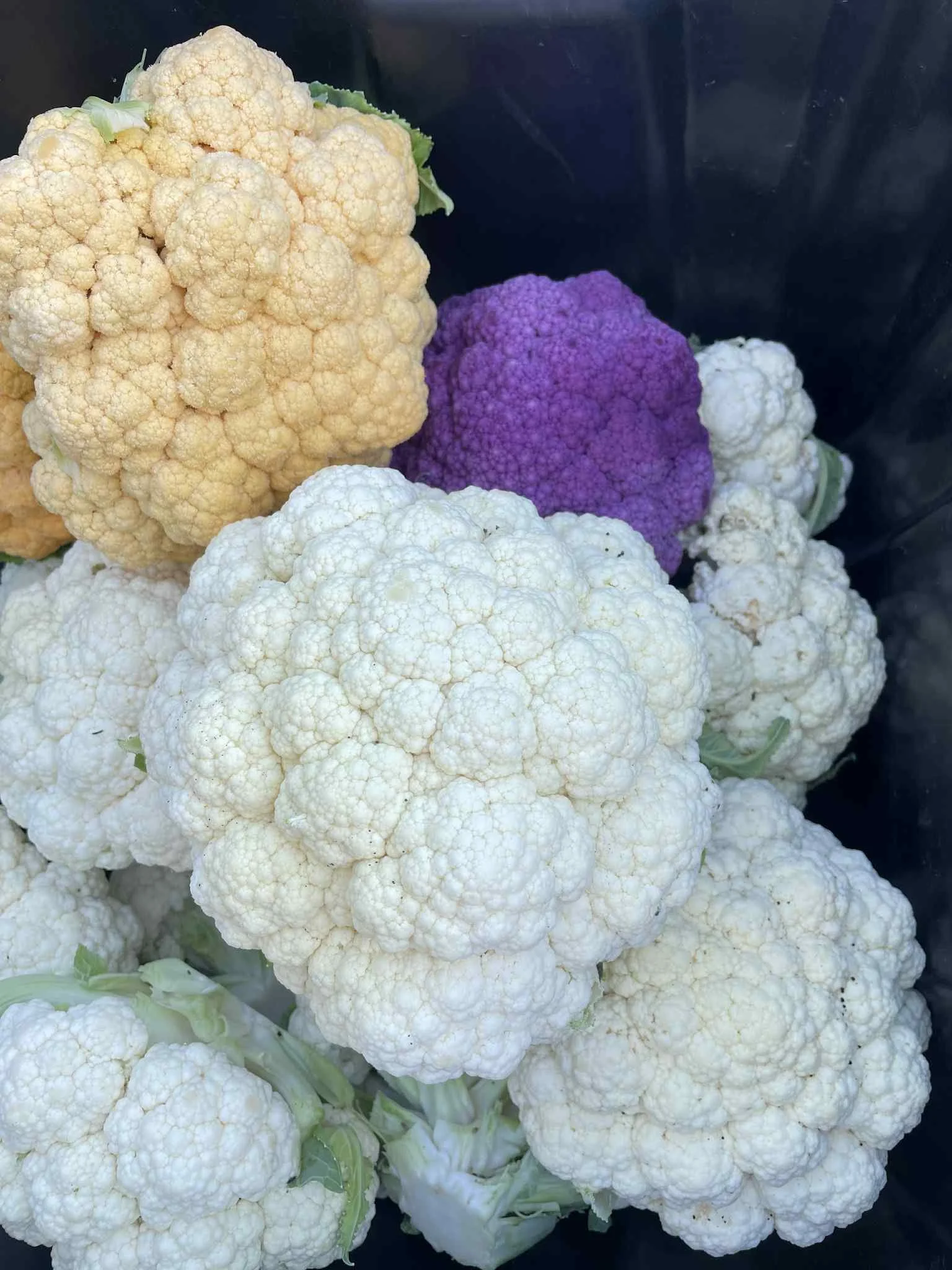 cauliflower.jpeg