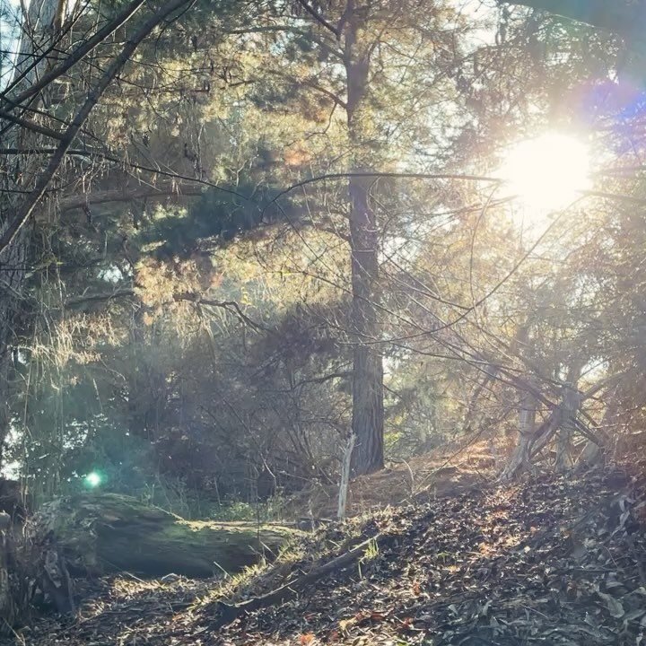 We are approaching the sacred Solstice portal.

This weekend marks the pivotal peak of the Solstice, bathed in the light of the full moon.

In the southern hemisphere, we arrive at the peak of darkness. Night rules now. 

The winter solstice is a tim
