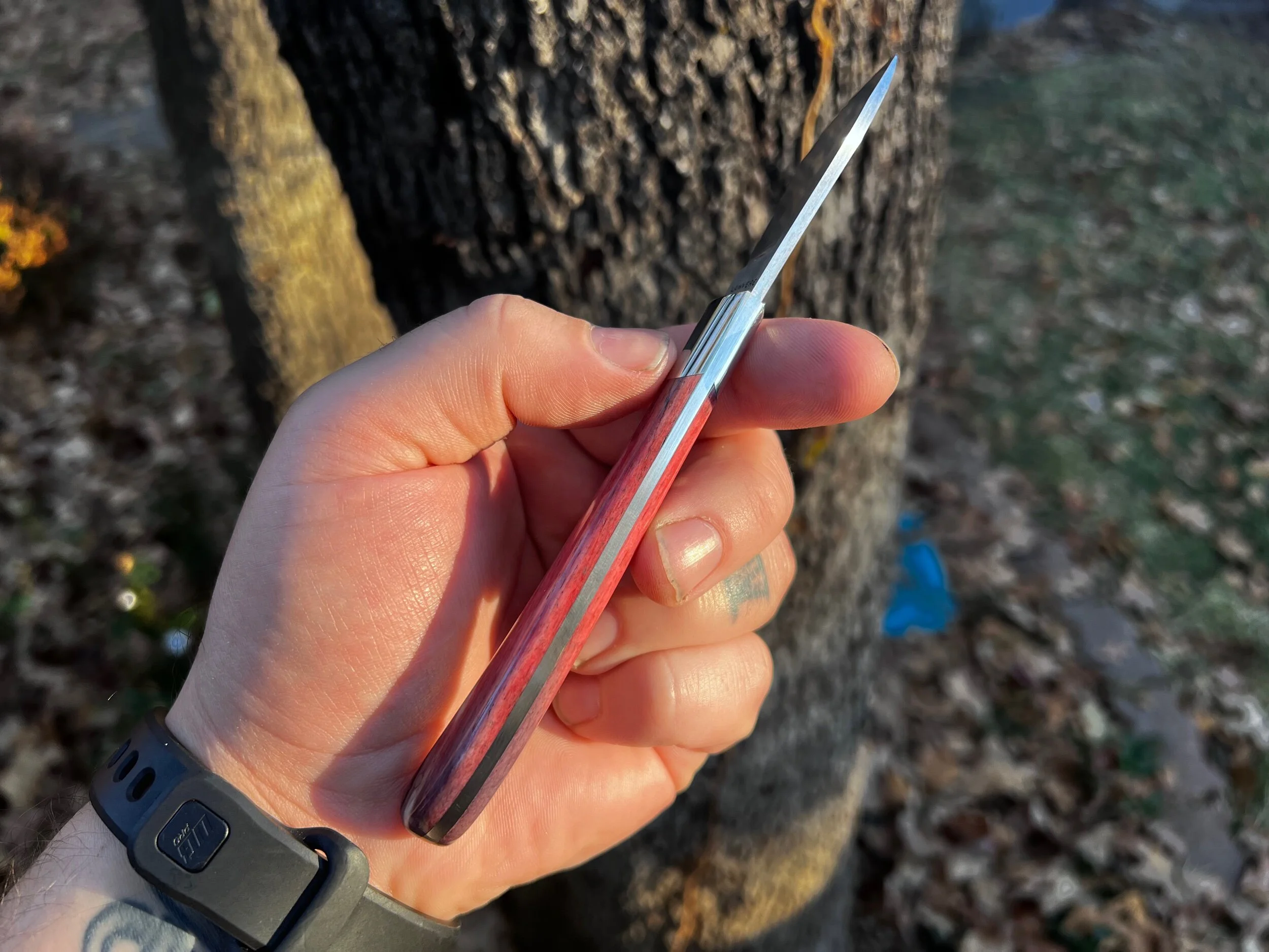 1DE82D1C-B801-4B33-988D-8FF80E2D7BF5