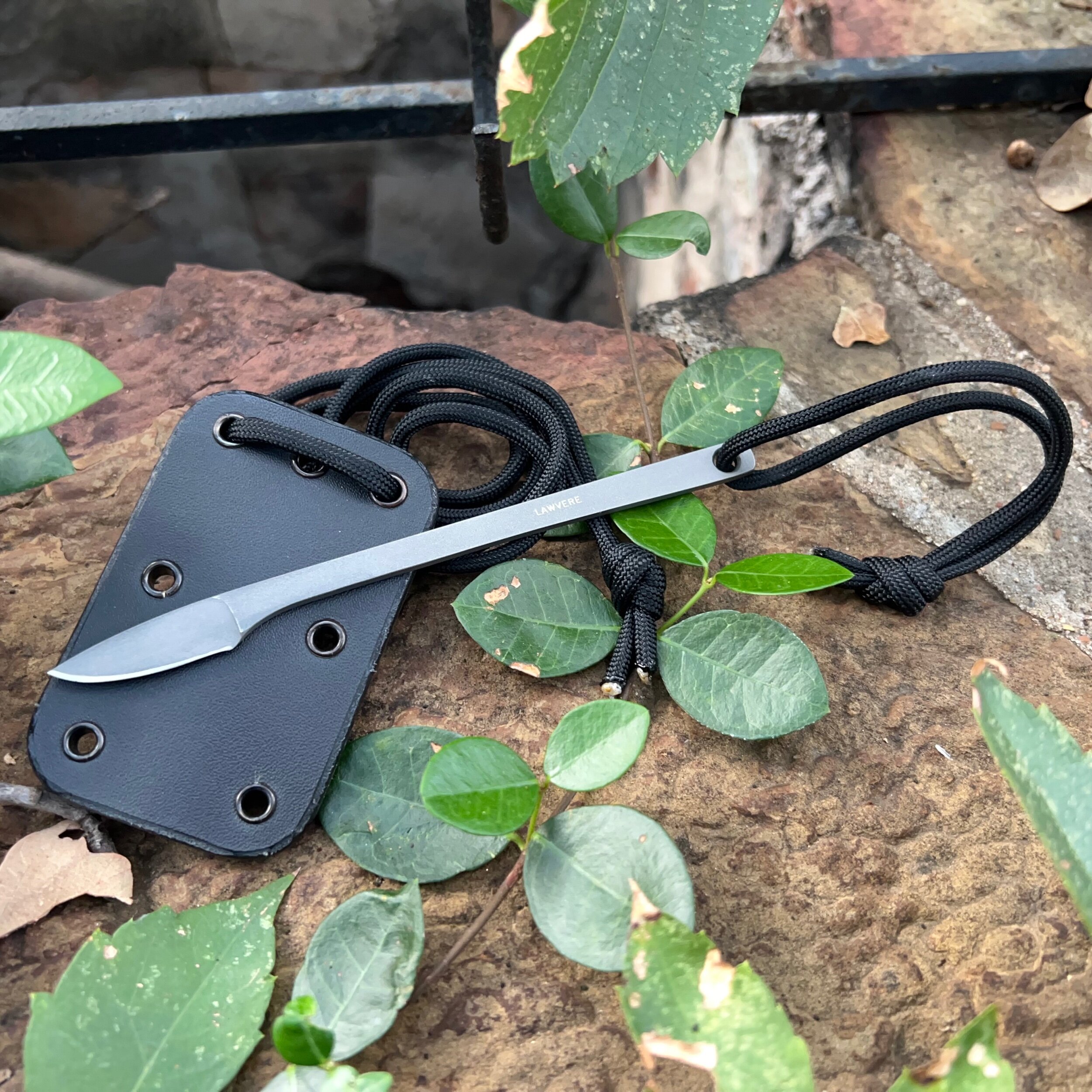 CA20B2A7-8880-4315-A71F-58093760FBF2