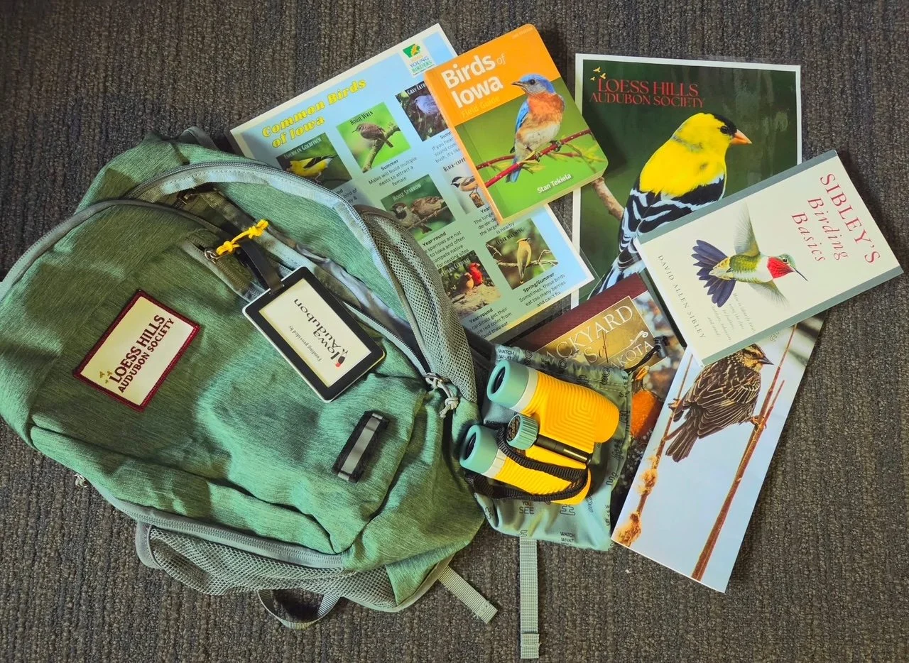 Backpack - Tucker.JPG