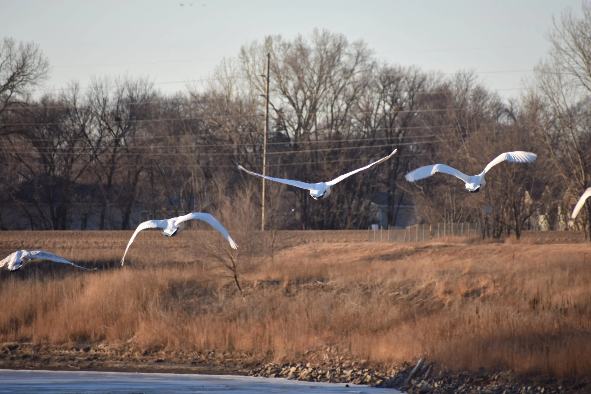 A River Runs Through It: the Loess Hills Audubon Society Photo Exhibit