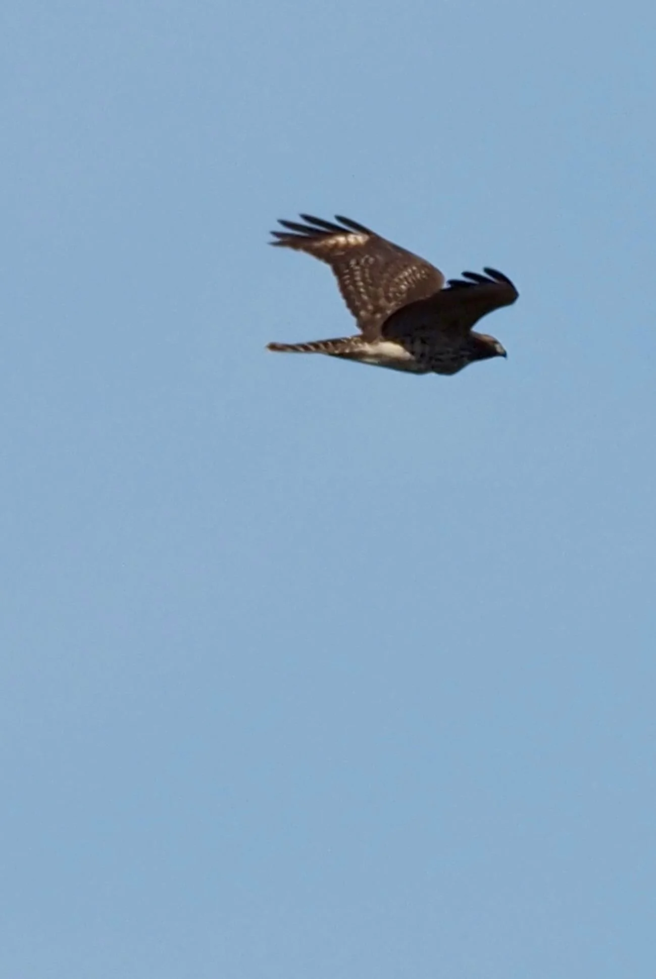 IMG_2273.jpg