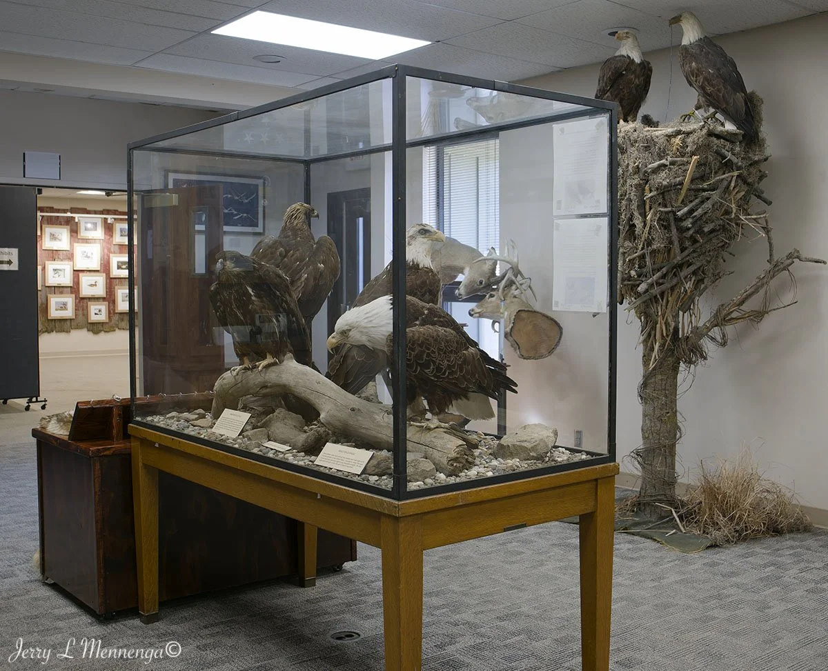Birds Loess Bluffs National WIldlife Refuge 2026 02-18_3575_DxO.jpg