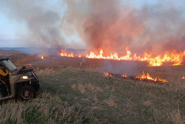 Lutter1 Prescribed burn.png