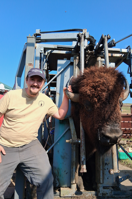 Lutter9 Bison Round Up at Broken Kettle.png