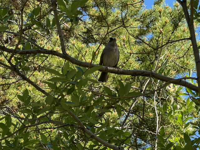 #1 Maria IMG_4890.png