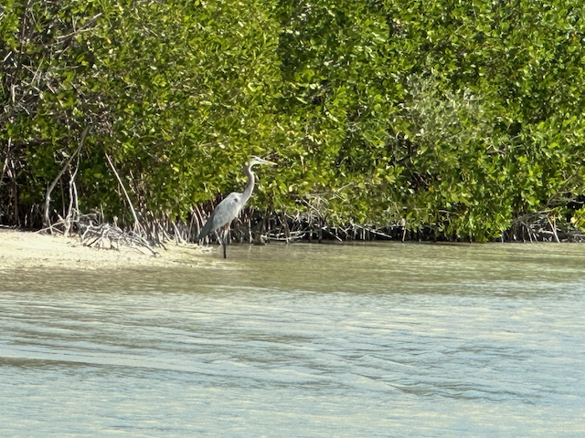 #7 Maria IMG_4191.png