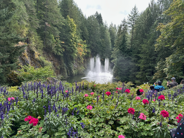 #11 Maria IMG_5467.png