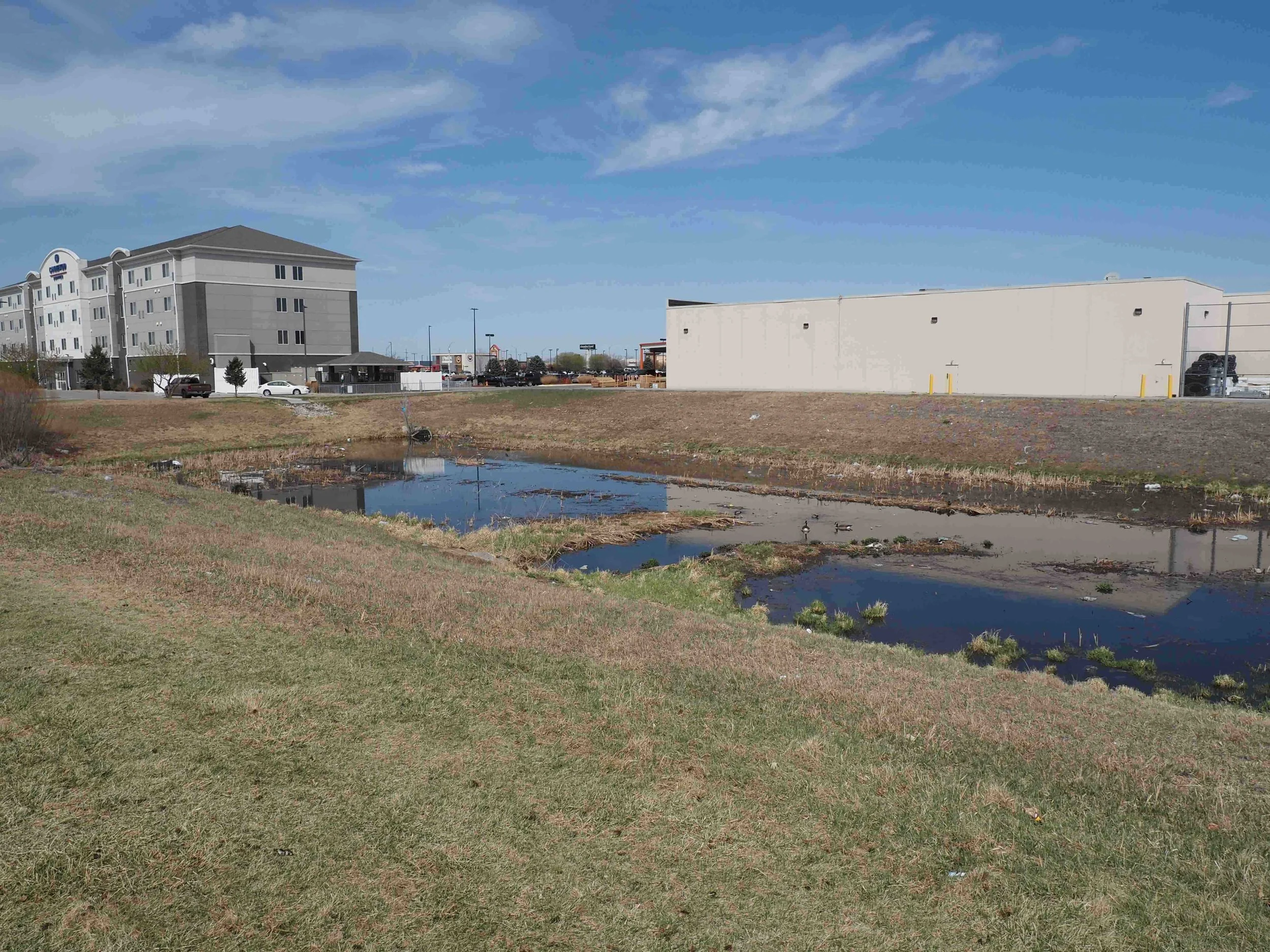 Retention Pond 1.JPG