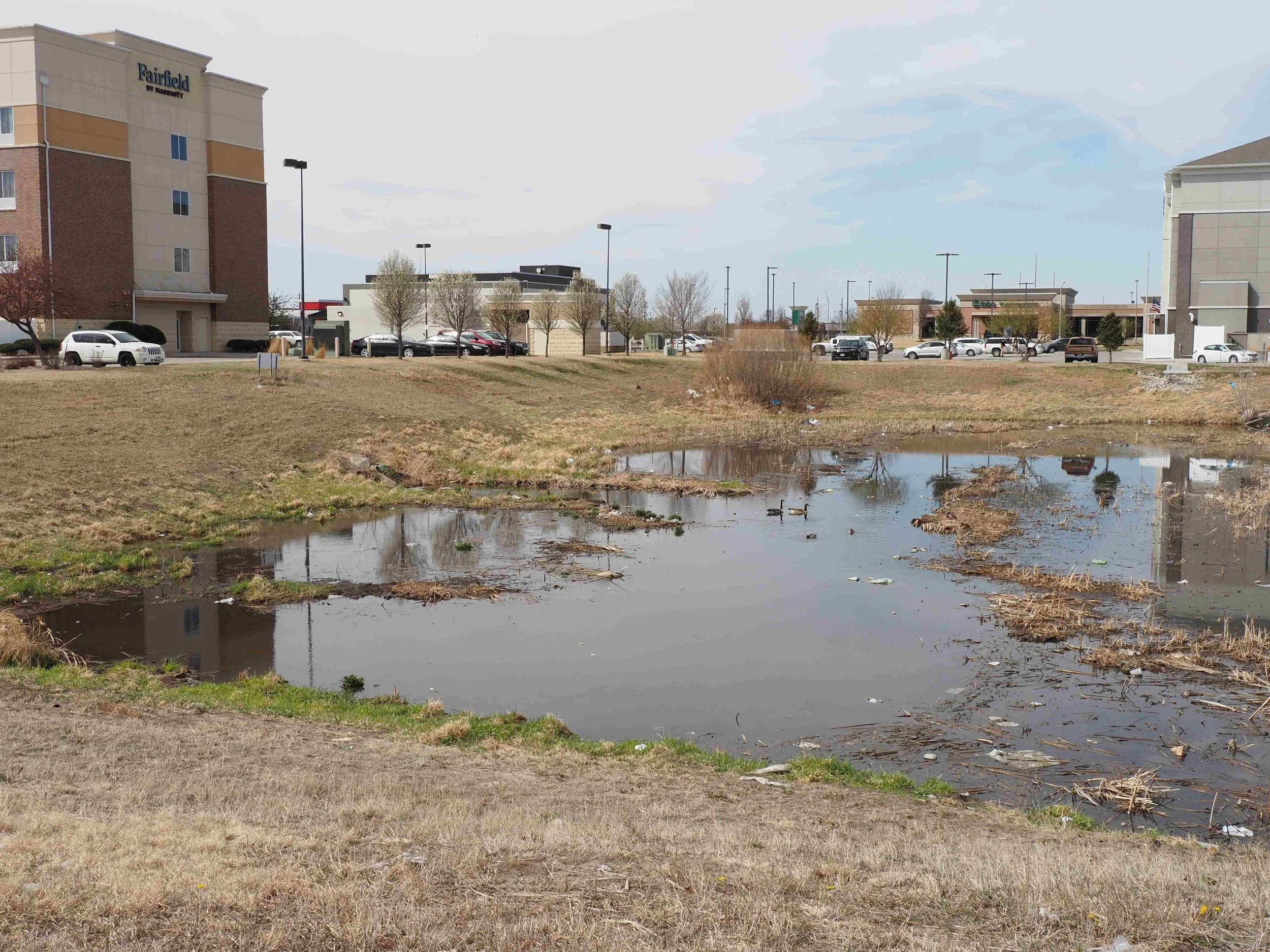 Retention Pond 2.JPG