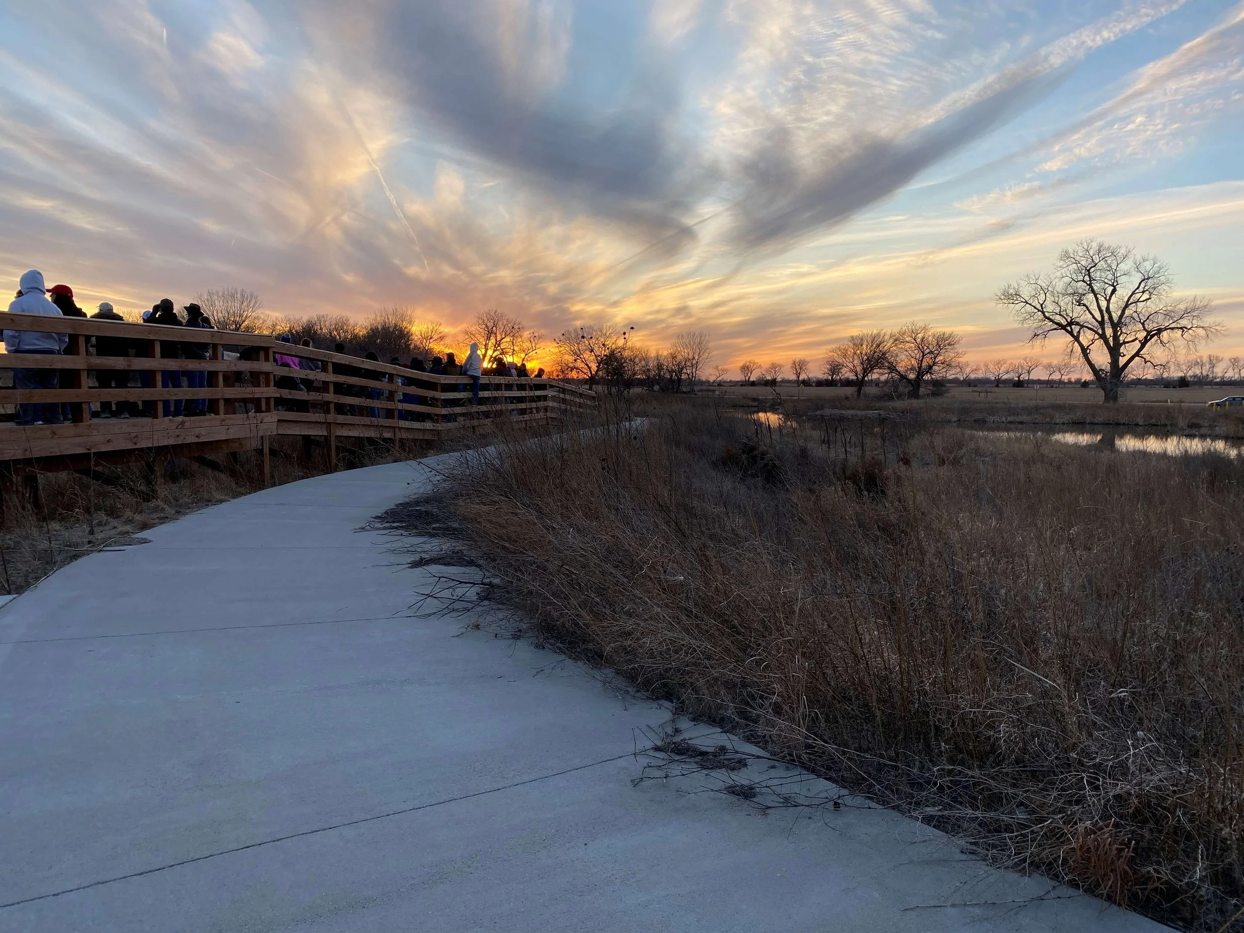 Birders on Bridge 2.jpg