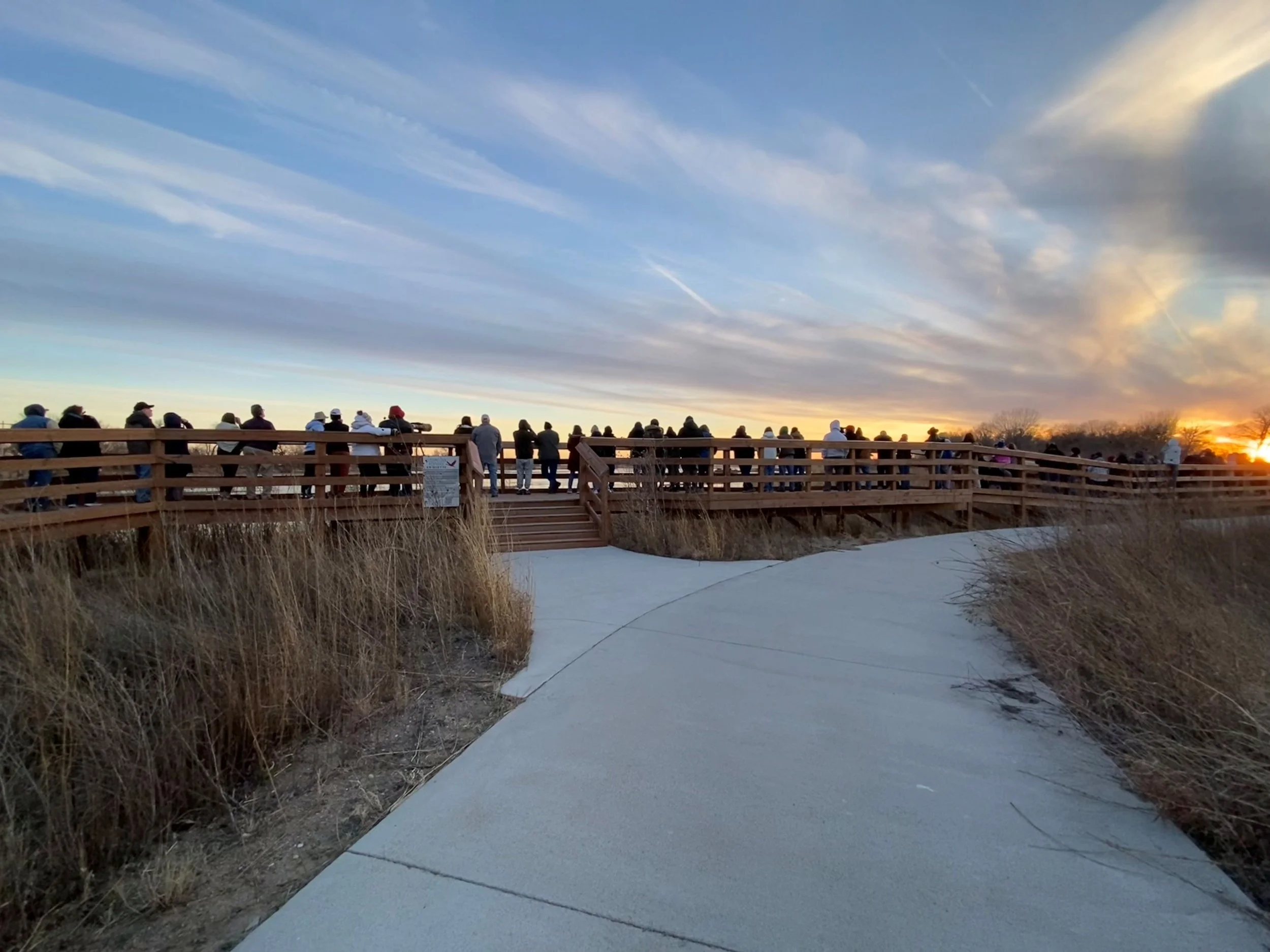 Birders on Bridge.jpg