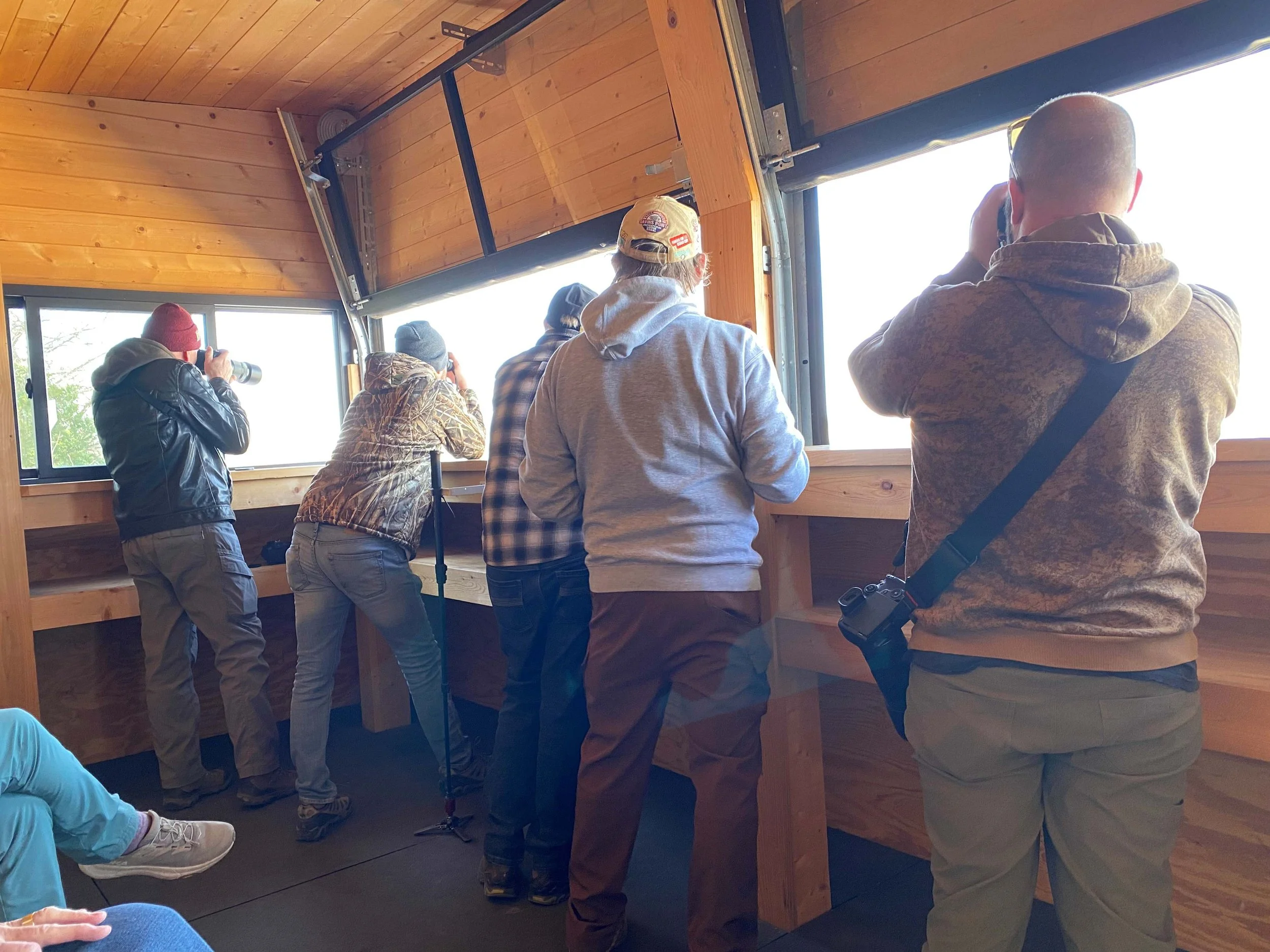 birders in blind 2.jpg