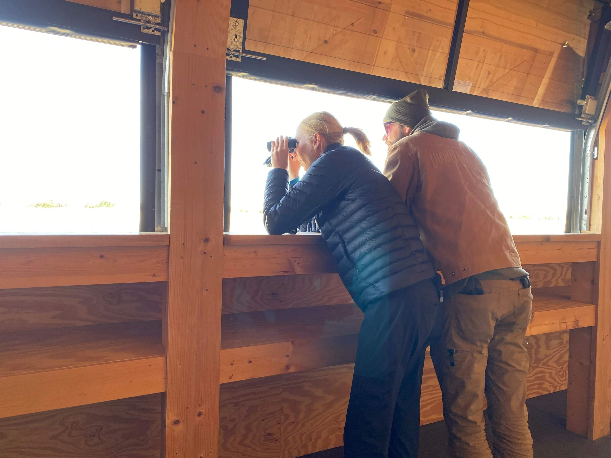 Birders in Blind.jpg