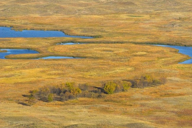 Sandhills of Nebraska Birding Outing