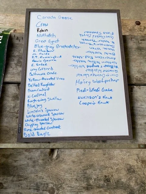 IMG_6452.jpeg