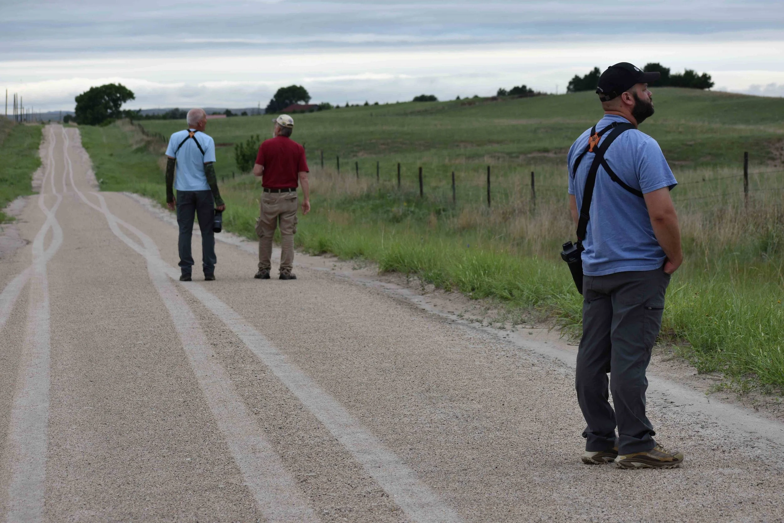 Birders reduced.JPG